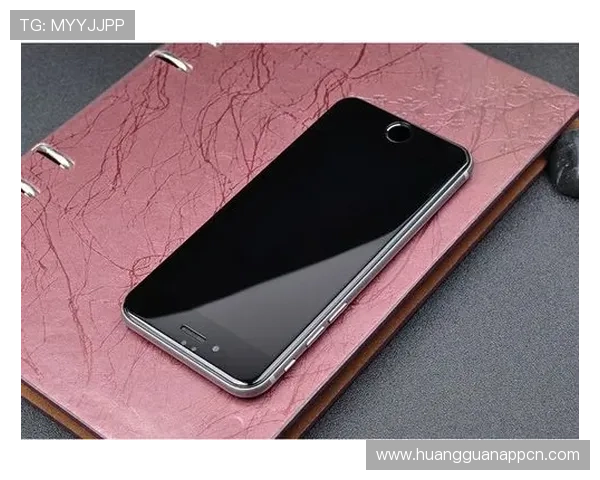 新濠锋官网客户端下载指南及安卓苹果设备使用教程全覆盖