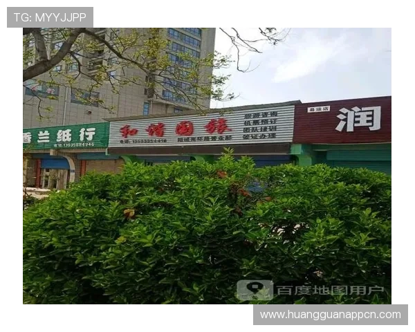 大阳城地址平台官方入口地址详细介绍及常见问题解决方案